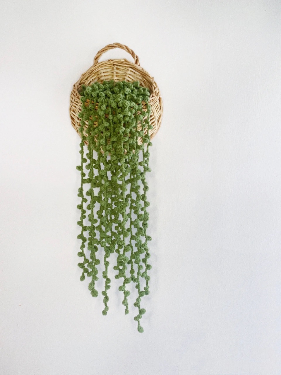 leaf: string of pearls leaf: string of pearls