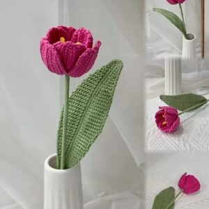 Home flower: tulip